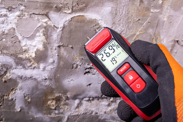Best Mold Remediation  in Alvarado, TX