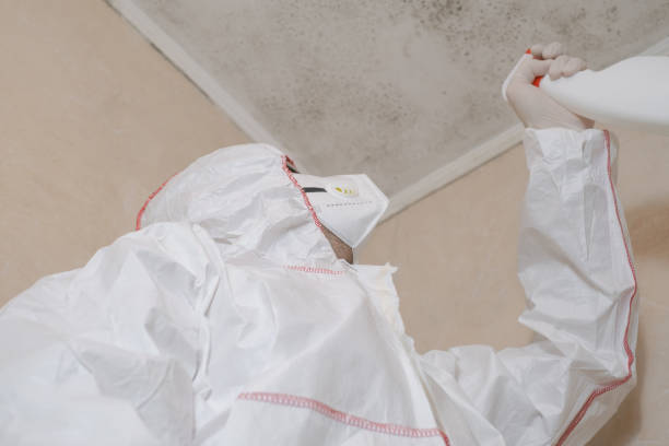 Best Home Mold Removal  in Alvarado, TX