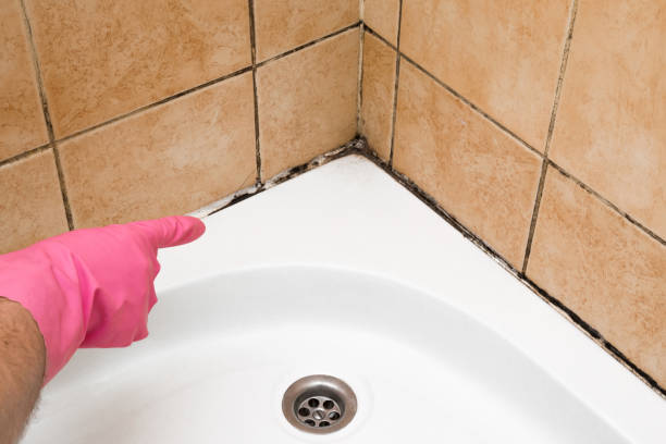 Crawl Space Mold Removal in Alvarado, TX